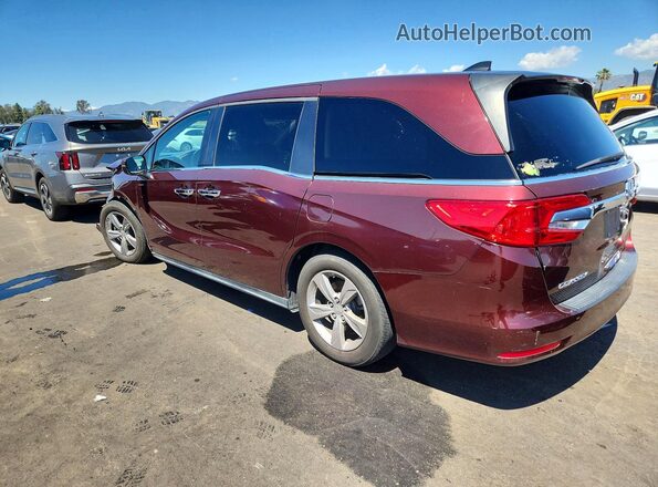 5FNRL6H7XLB033306 2020 HONDA ODYSSEY Burgundy Rear left