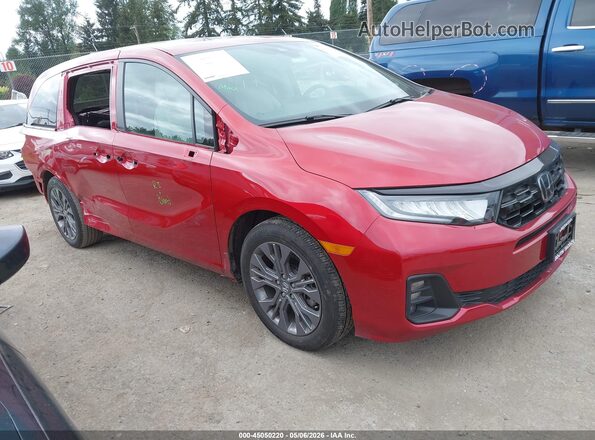 5FNRL6H84SB067507 2025 HONDA ODYSSEY Красный Передняя правая четверть
