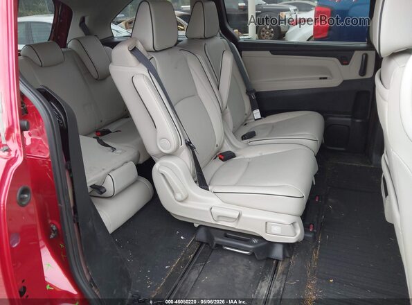 5FNRL6H84SB067507 2025 HONDA ODYSSEY Красный Вид наклейки с VIN-кодом