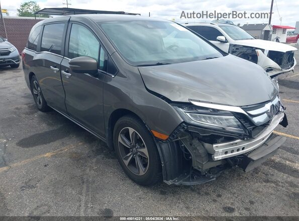 5FNRL6H89JB005583 2018 HONDA ODYSSEY Коричневый Передняя правая четверть