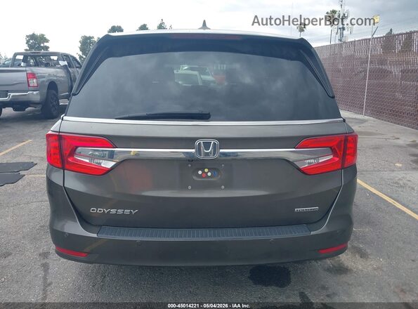 5FNRL6H89JB005583 2018 HONDA ODYSSEY Коричневый 