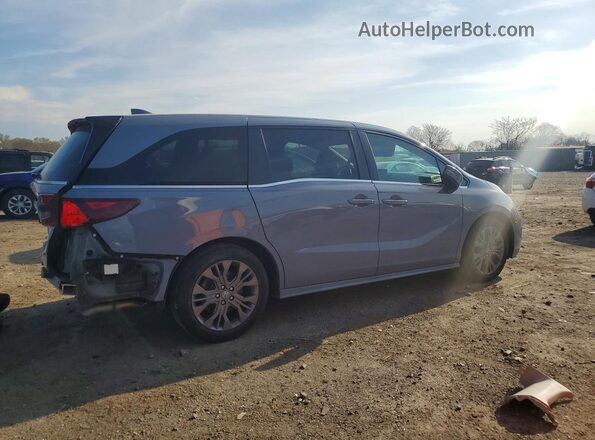 5FNRL6H8XSB037718 2025 HONDA ODYSSEY Gray უკანა მარჯვენა