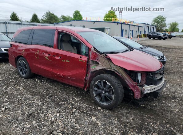 5FNRL6H91NB022778 2022 HONDA ODYSSEY Красный Передняя правая четверть
