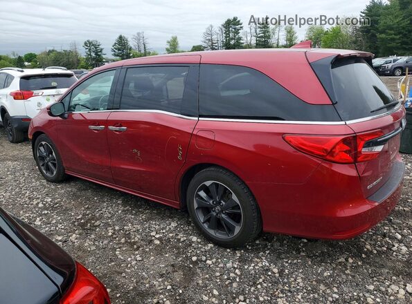 5FNRL6H91NB022778 2022 HONDA ODYSSEY Красный Задняя левая четверть