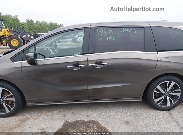 5FNRL6H92KB060502 2019 HONDA ODYSSEY Серый Вид задней части салона