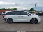 2021 Honda Odyssey Elite Белый vin: 5FNRL6H93MB003213