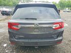 2020 Honda Odyssey Elite Gray vin: 5FNRL6H96LB023843