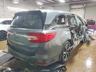 2020 Honda Odyssey Elite Gray vin: 5FNRL6H98LB005134