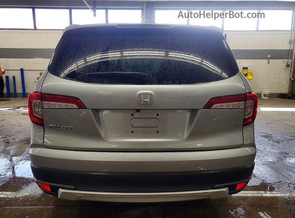 5FNYF5H57LB010433 2020 HONDA PILOT Серый Вид сзади