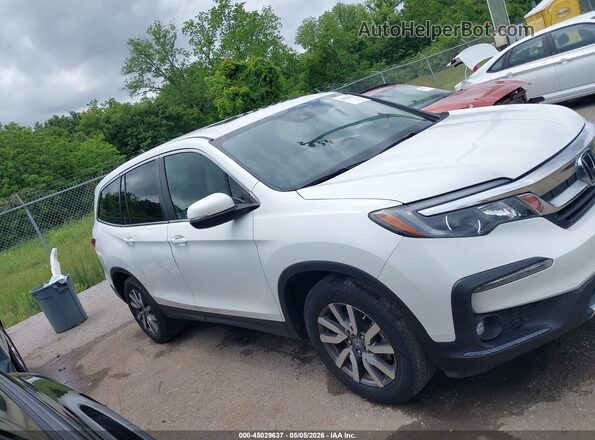 5FNYF5H58MB022835 2021 HONDA PILOT Белый Вид задней части салона