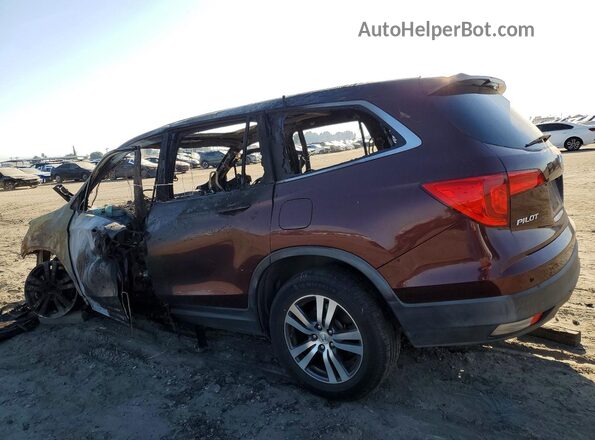 5FNYF6H50GB090329 2016 HONDA PILOT Burgundy Trasero izquierdo