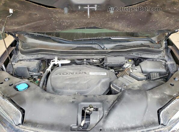 5FNYF6H59LB026316 2020 HONDA PILOT Серый Вид задней части салона