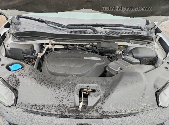 5FNYF8H21KB028061 2019 HONDA PASSPORT White Rear interior view
