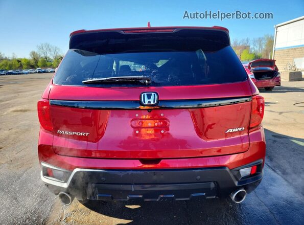 5FNYF8H59RB020181 2024 HONDA PASSPORT Red Widok z tyłu