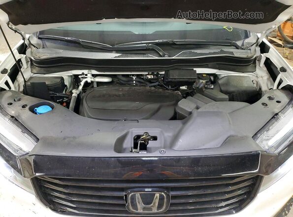 5FNYF8H84SB011663 2025 HONDA PASSPORT White Вид задньої частини салону