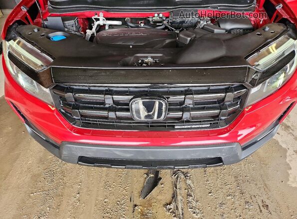 5FPYK3F88SB009651 2025 HONDA RIDGELINE Темно-бордовый Вид задней части салона