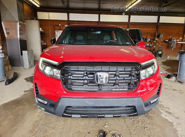 5FPYK3F88SB009651 2025 HONDA RIDGELINE Темно-бордовый Вид спереди