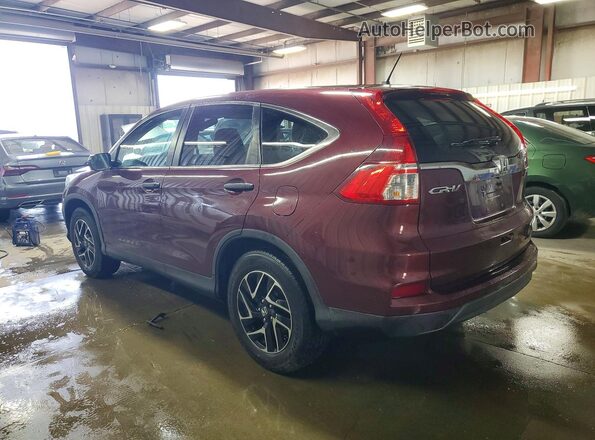 5J6RM4H47GL071614 2016 HONDA CR-V Темно-бордовый Задняя левая четверть