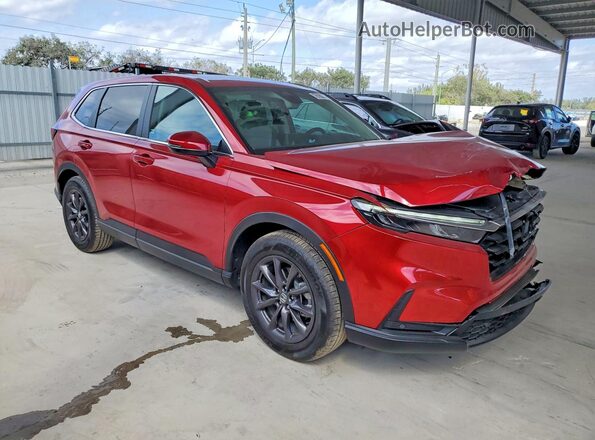 5J6RS3H73TL003282 2026 HONDA CR-V Красный Передняя правая четверть