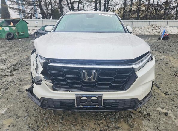 5J6RS4H41PL003556 2023 HONDA CR-V Белый Вид спереди