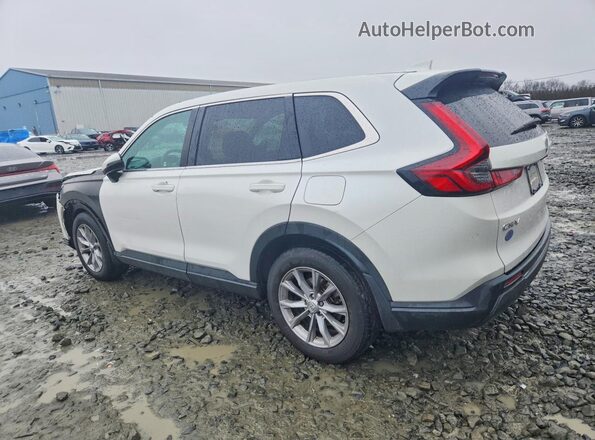 5J6RS4H41PL003556 2023 HONDA CR-V Белый Задняя левая четверть