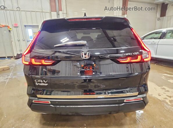 5J6RS4H75RL005808 2024 HONDA CR-V Черный Вид сзади