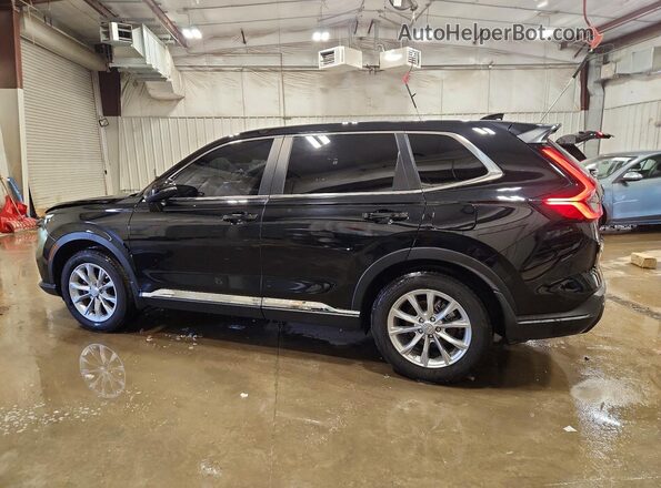 5J6RS4H75RL005808 2024 HONDA CR-V Черный Задняя левая четверть