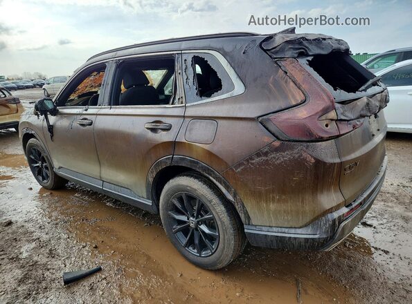5J6RS6H55PL002074 2023 HONDA CR-V Серый Задняя левая четверть