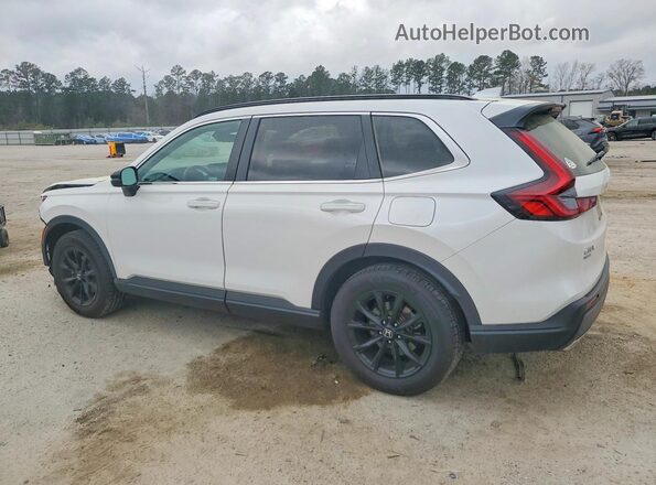 5J6RS6H86RL006552 2024 HONDA CR-V White Tył lewy