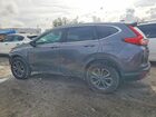 2019 Honda Cr-v Ex Gray vin: 5J6RW1H59KA007595