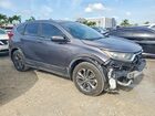 2019 Honda Cr-v Ex Gray vin: 5J6RW1H59KA007595