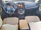 2019 Honda Cr-v Exl Maroon vin: 5J6RW1H8XKL005191