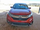 2019 Honda Cr-v Exl Maroon vin: 5J6RW1H8XKL005191