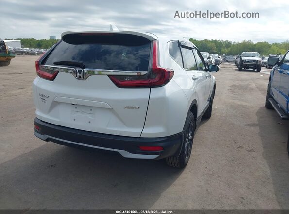 5J6RW2H87LL032890 2020 HONDA CR-V Белый Задняя правая четверть