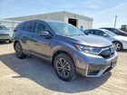 2021 Honda Cr-v Exl Gray vin: 5J6RW2H89ML008012
