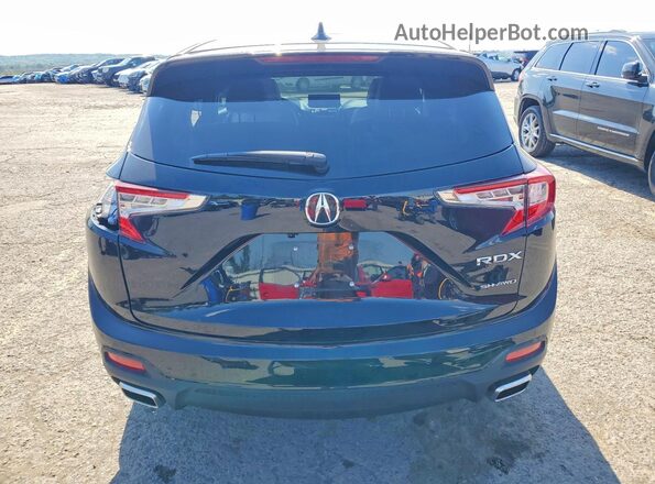 5J8TC2H54SL028385 2025 ACURA RDX Черный Вид сзади