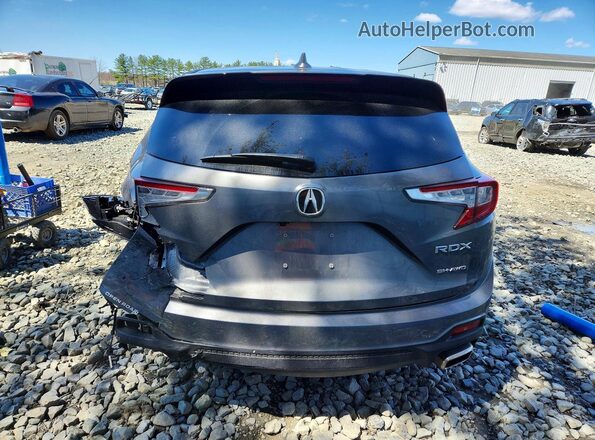 5J8TC2H5XSL006763 2025 ACURA RDX Серый Вид сзади