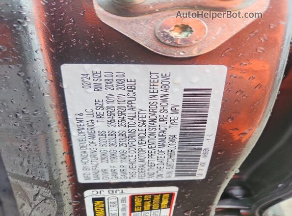 5J8TC2H66RL019464 2024 ACURA RDX Gray Vista de la etiqueta del VIN