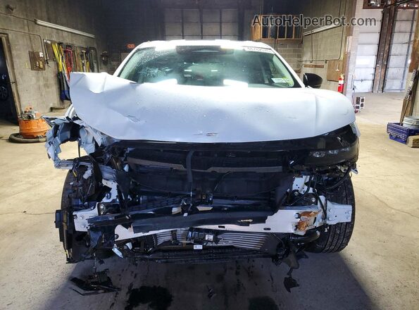5N1AZ3CSXSC101908 2025 NISSAN MURANO Белый Вид спереди