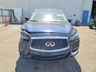 2019 Infiniti Qx60 Luxe Синий vin: 5N1DL0MM0KC550401