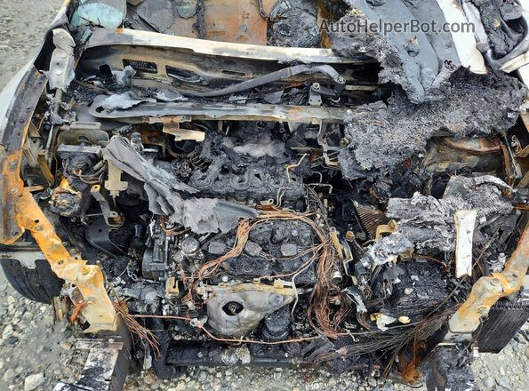 5N1DL0MNXKC522307 2019 INFINITI QX60 White Շարժիչի բաժամունքի տեսք