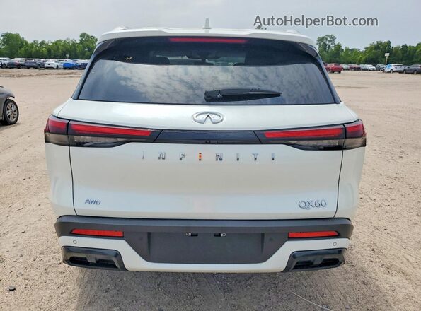 5N1DL1FS7RC352281 2024 INFINITI QX60 White Widok z tyłu