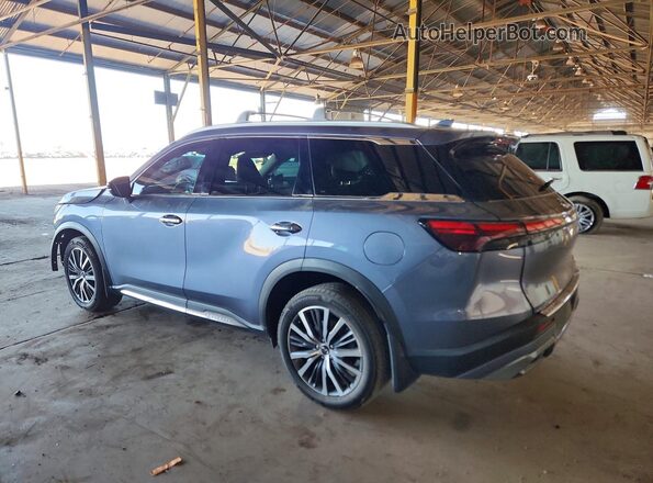 5N1DL1GR8PC331996 2023 INFINITI QX60 Gray Tył lewy