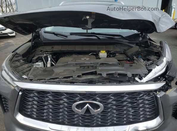 5N1DL1GS3PC369588 2023 INFINITI QX60 Gray Սալոնի հետևի տեսք