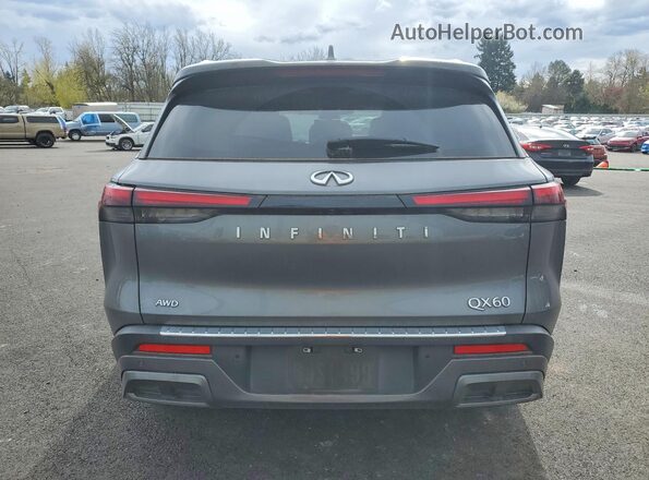 5N1DL1GS3PC369588 2023 INFINITI QX60 Gray Հետևի տեսք