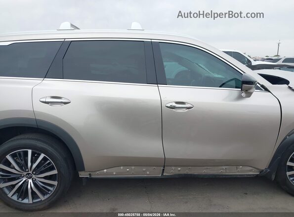 5N1DL1GS9PC359728 2023 INFINITI QX60 Золотой Панорамный вид салона 360°