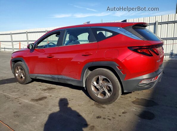 5NMJA3AE7NH003580 2022 HYUNDAI TUCSON Красный Задняя левая четверть
