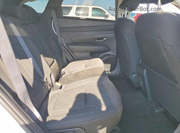5NMJB3DE3TH663976 2026 HYUNDAI TUCSON Белый Вид задней части салона