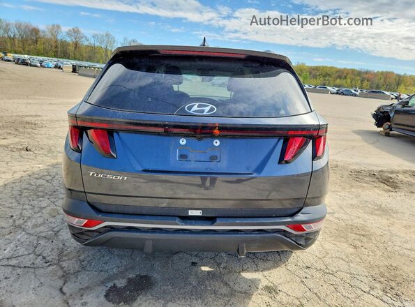 5NMJB3DE4RH356826 2024 HYUNDAI TUCSON Серый Вид сзади