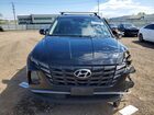 2023 Hyundai Tucson Sel Черный vin: 5NMJBCAE0PH229489 2023 Hyundai Tucson Sel Черный vin: 5NMJBCAE0PH229489